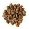 BrasilSantos-koffie_DePelikaan.webp Brasil Santos