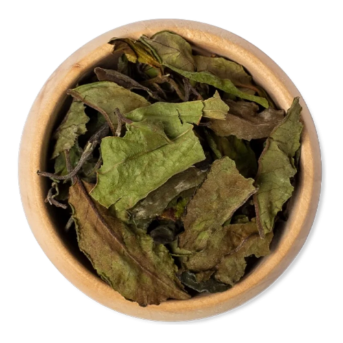PaiMuTan_thee_DePelikaan Pai Mu Tan (witte thee)