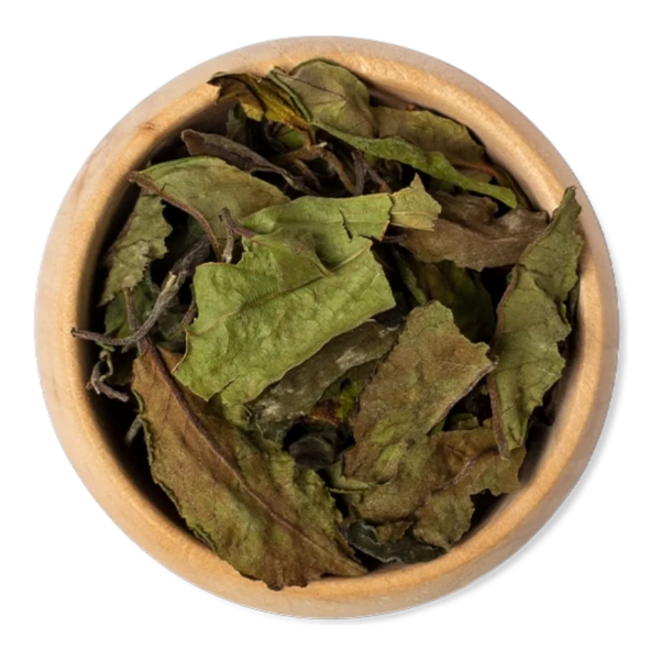 PaiMuTan_thee_DePelikaan Pai Mu Tan (witte thee)